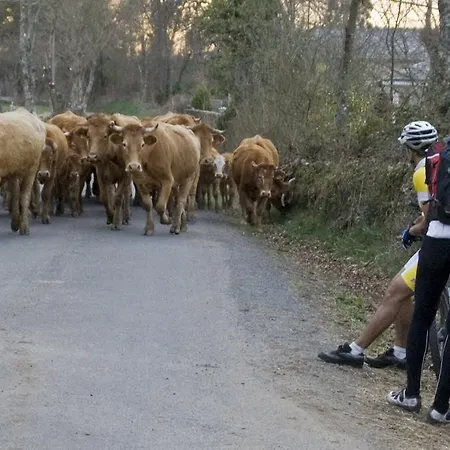 Nueva Allandesa Hotel 2*