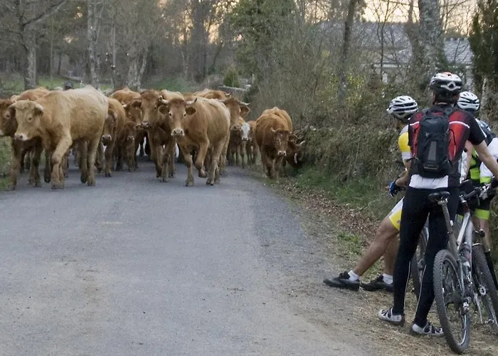 Nueva Allandesa Hotel 2*