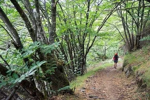 Nueva Allandesa Hotel Pola de Allande